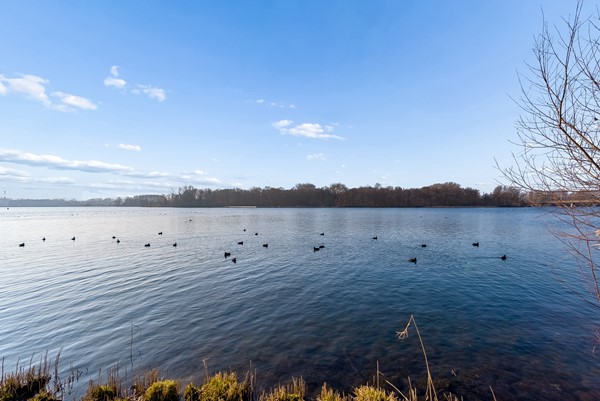 JACQUES TATILAAN 143-61.jpg